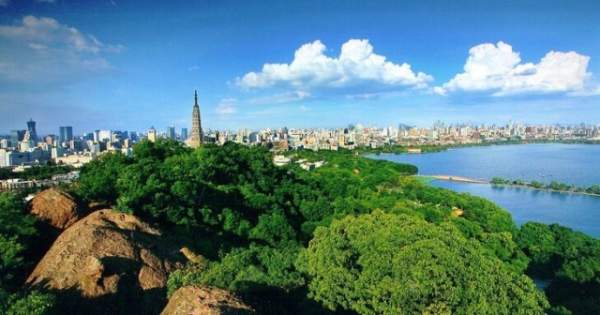 學(xué)習(xí)國(guó)外苗木行業(yè)經(jīng)驗(yàn)，搶先了解國(guó)內(nèi)市場(chǎng)動(dòng)態(tài)