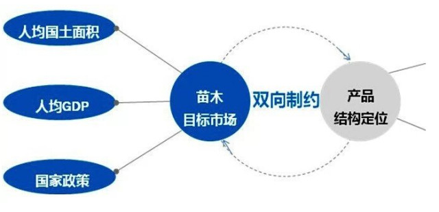 學(xué)習(xí)國(guó)外苗木行業(yè)經(jīng)驗(yàn)，搶先了解國(guó)內(nèi)市場(chǎng)動(dòng)態(tài)